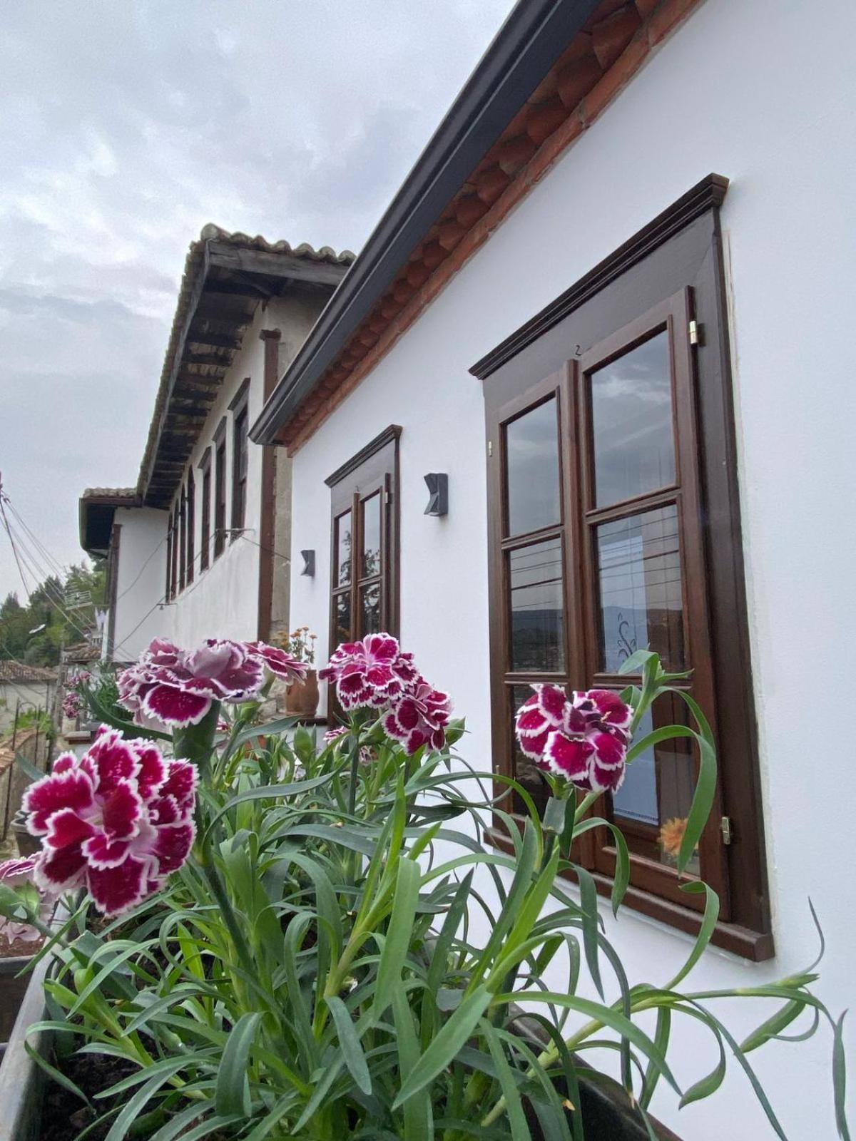 Oda E Skulptorit-Unesco Quarter Berat Kültér fotó
